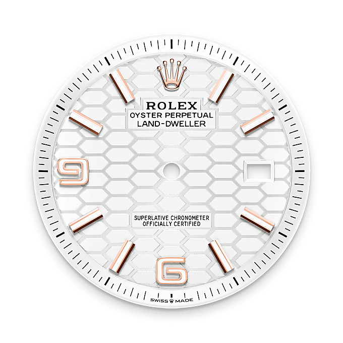 Rolex Land-Dweller 40 M127335-0001 – Tiefweißes Zifferblatt (Hochformat)
