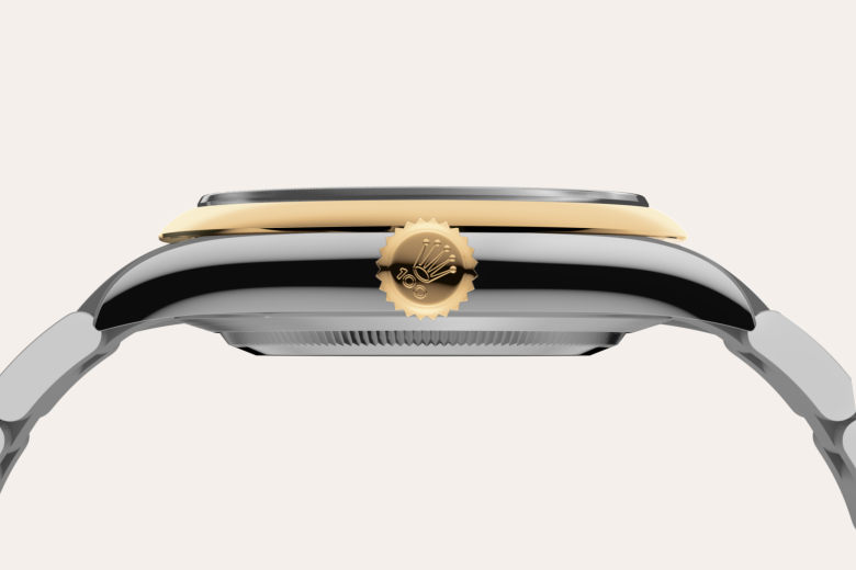Rolex Oyster Perpetual 41 M134303-0001 – Rolesor gelb (Hochformat)